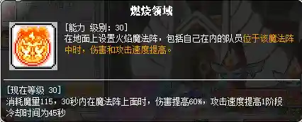 冒险岛炎术士技能展示(冒险岛t0输出的职业)插图53