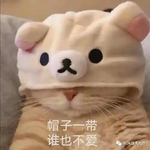 关羽阵容体系搭配什么英雄(三国志战略版关羽最强阵容)插图60