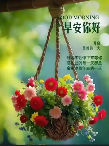 早安物语推荐阵容搭配图(心力物语最强阵容)插图39