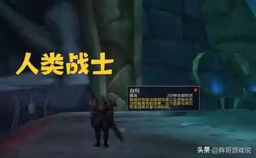 超多种族搭配阵容装备(血族阵容搭配)