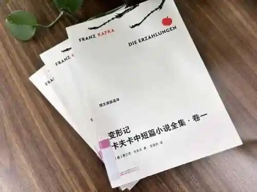 卡夫卡阵容搭配新手(云顶之弈阵容搭配图表)插图1
