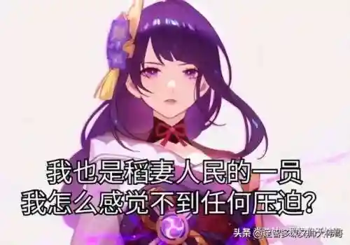 雷电将军草系阵容搭配(雷电女王的鬼铠阵容搭配)插图1