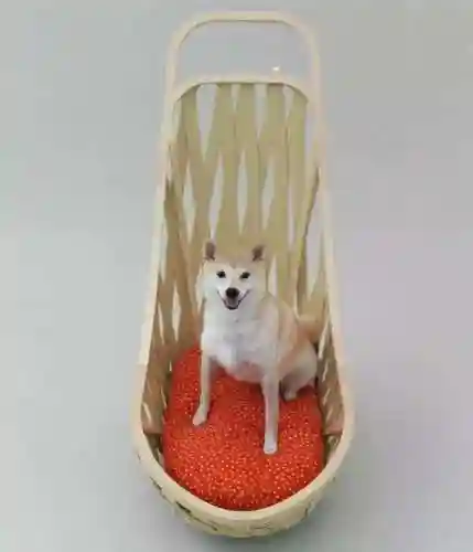 萌宠训练家阵容搭配(萌宠大作战)插图5