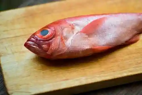 5种公认最好吃的海鱼(最好吃海鱼排名)插图4