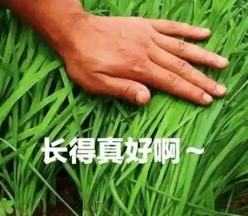 手游和端游互通的网游(传奇三端互通版本发布网)