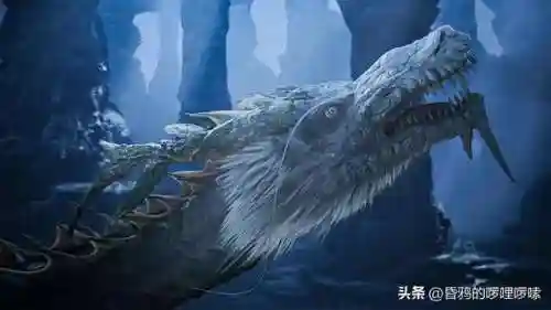 海皇大帝阵容怎么搭配(大皇帝平民最强阵容)