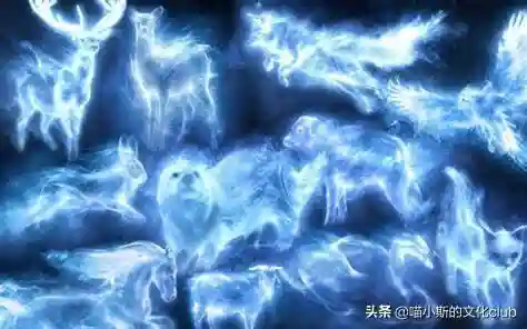 呼神守卫搭配阵容推荐(圣盾使阵容最强搭配)