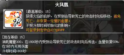 冒险岛炎术士技能展示(冒险岛t0输出的职业)插图38