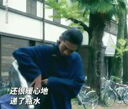 隐晦之海强势阵容搭配(闪烁之光最强阵容)插图13
