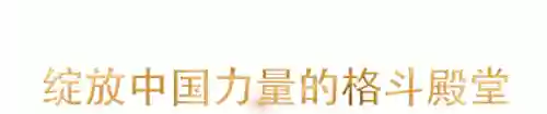 搏击俱乐部简介(自由搏击报名入口官网)
