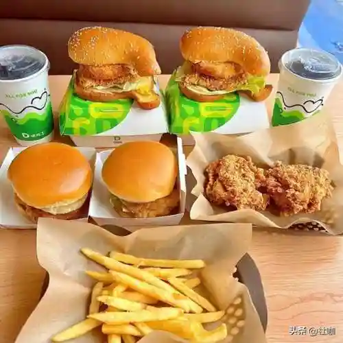 汉堡店加盟哪个牌子好(全国最火的加盟店项目)插图3