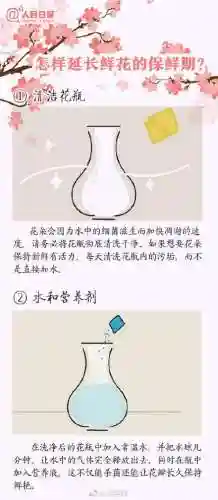 所有花语大全(花语经典语录)插图7