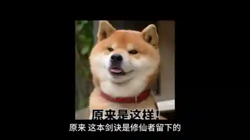 苍穹剑诀前期阵容搭配图(苍穹剑诀)