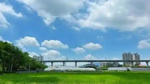 台风最新消息台风(实时风向风速查询)插图1