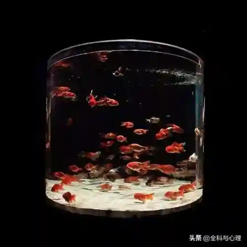 对某人失望心寒的说说(把一个人的心伤透了怎么挽回)插图2