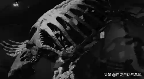 远古巨兽大复活(上古神兽饕餮电影免费)插图1 远古巨兽大复活(上古神兽饕餮电影免费)插图1