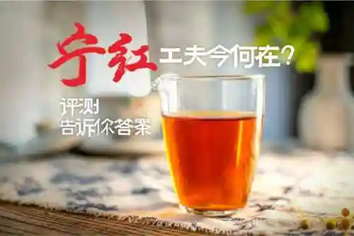 2023宁红夜阵容搭配(雷主后期最强阵容搭配)