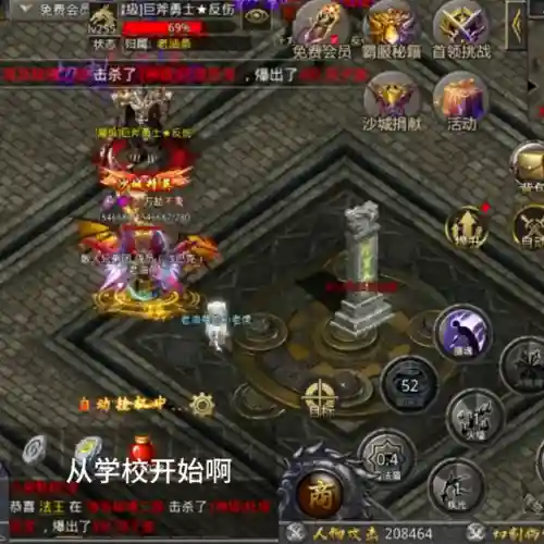 本土法师推荐阵容搭配(法师和谁配合最强)