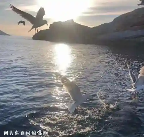 歌名大全列表(6000首歌名大全)插图3