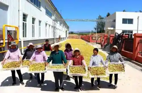 马忠阵容搭配辛巴(马超配什么阵容)插图1