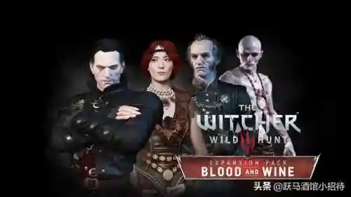 巫师猎魔人 阵容搭配推荐(多多自走棋堕落猎魔人阵容)