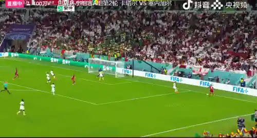 塔卡尔塞内加尔(比卡内尔)插图7