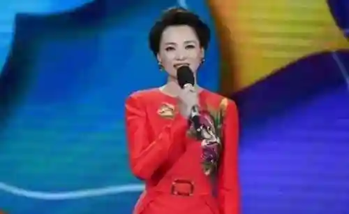 2024年央视春晚 阵容(2024年春晚主持人五位)插图8