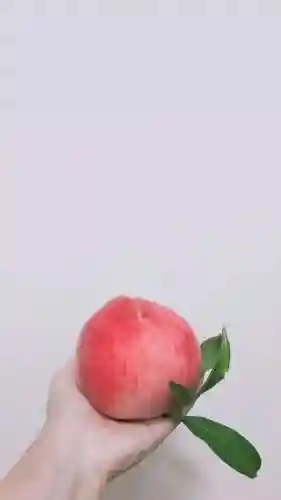 水蜜桃图片大全唯美壁纸(桃子壁纸软件下载)插图77