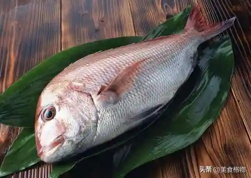 5种公认最好吃的海鱼(最好吃海鱼排名)插图1