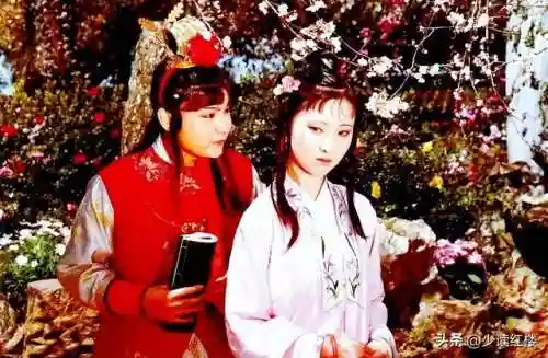 红楼梦读后感(红楼梦ppt)