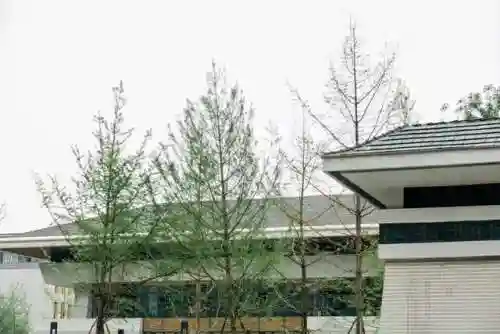 天府传说新手推荐阵容搭配(天命之子推图阵容搭配)插图9