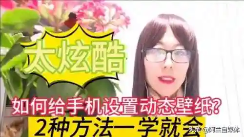 手机桌面动态壁纸(动态壁纸免费下载)