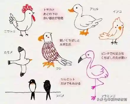 儿童画画入门初学(中国十大原画培训机构)插图3