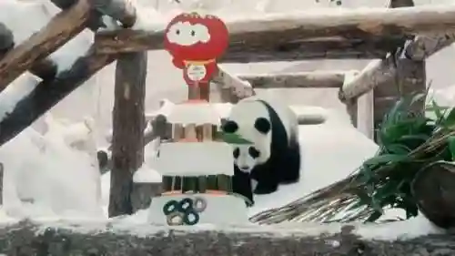 吉祥物打工阵容搭配(恭喜发财什么阵容厉害)插图33