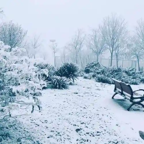 山水澄辉阵容怎么搭配(山海镜花t0阵容)插图14 山水澄辉阵容怎么搭配(山海镜花t0阵容)插图14