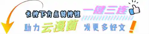 初始大人搭配阵容图片高清(原神早期阵容搭配推荐)插图7