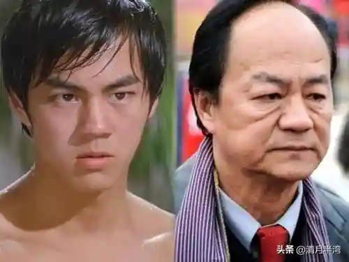 公子世无双(陌上人如玉,公子世无双.全诗)