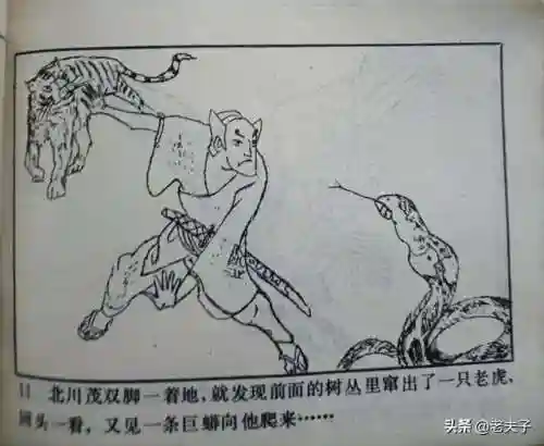 寻宝渔夫大亨(捕鱼大亨)插图11