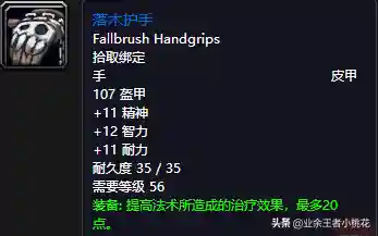 黑石塔下层掉落(wow副本掉落物品查询)插图26