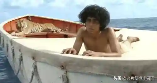 少年派的奇幻漂流(少年派隐喻深度解析)插图61