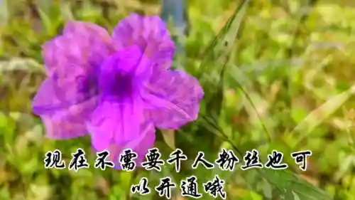 抖音正规接单赚佣金的平台(手机接单平台兼职挣佣金)插图3