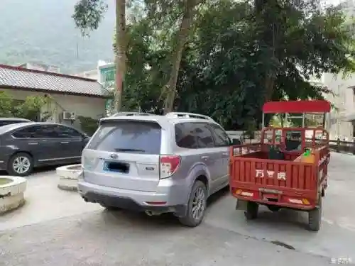 单人森林阵容怎么搭配最好(荒野迷城最强阵容)插图11