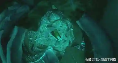 少年派的奇幻漂流(少年派隐喻深度解析)插图58