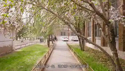 海棠文化线上文学城入口2023(海棠书屋入口myhtlmebookmyhtl下载)插图3