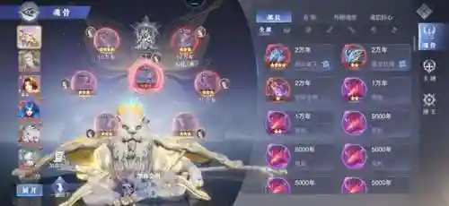 小白和白虎搭配什么阵容(辽小虎主力阵容)插图1