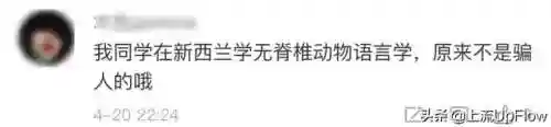 淡雅推塔阵容搭配最新(守塔不能停0氪最强阵容)插图20