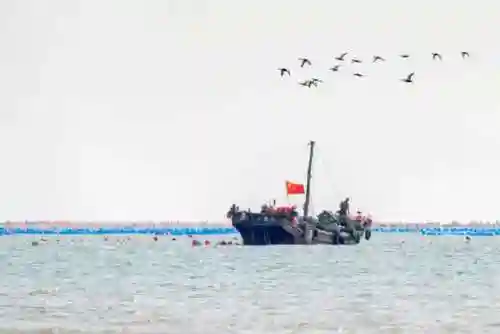 山中核一阵容搭配(桃园盾t0队伍搭配指南)插图14