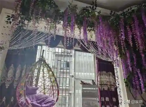 花园宝宝阵容搭配图片高清(花园宝宝的所有人物)插图1