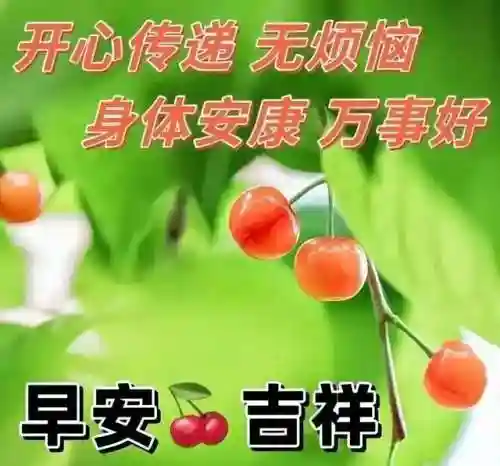 早安物语推荐阵容搭配图(心力物语最强阵容)插图17