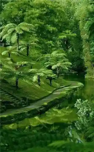 超好看的手机壁纸图片(手机壁纸图片女生专用)插图89 超好看的手机壁纸图片(手机壁纸图片女生专用)插图89